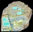 Slab Of Clay Canyon Variscite - Old Collection Stock #39160-2